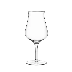 Luigi Bormioli Birrateque Clear Round Crystal Dishwasher Safe Modern Pint Glasses Set Pack of 6