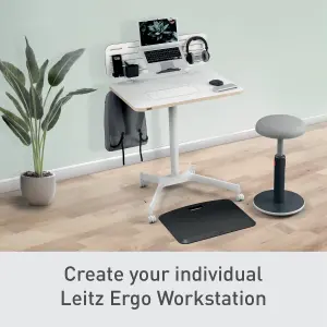 Leitz Ergo Electric Sit & Standing Desk Adjustable Movable Home Office Compter Laptop Table Workstation