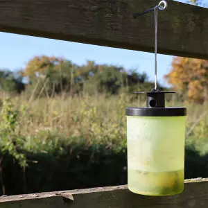 Zero In Wasp trap with Bait, Ready to use