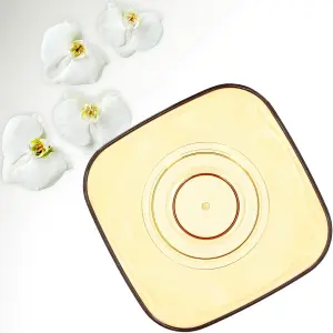 Plant Orchid Pot Plastic  Gloss Oval Planter 12 cm Honey transparent Square