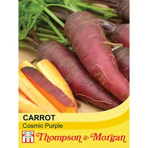 Carrot Cosmic Purple 1 Seed Packet (500 Seeds)