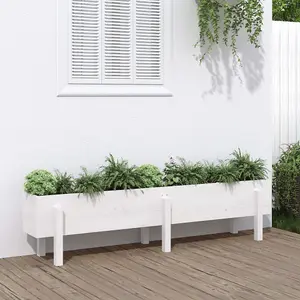 Berkfield Garden Raised Bed White 160x30x38 cm Solid Wood Pine