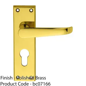 Straight Victorian Latch & EURO Lock Door Handle Polished Brass Lever Backplate