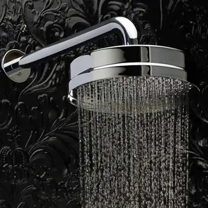 ENKI Traditional Chrome Watercan Solid Brass Shower Head 8"