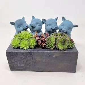 Pigs with Trough Planter Garden Ornament Home Farm Statue Decoration Flower Pot