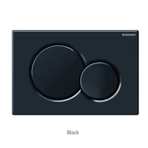 Geberit Sigma01 Dual Flush Plate Black