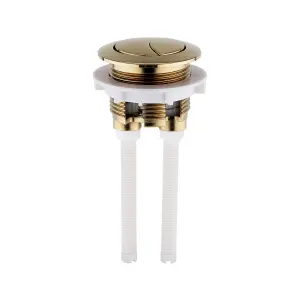 Brushed Brass Dual Flush Close Coupled Toilet Button & Seat Hinge Cover Plates