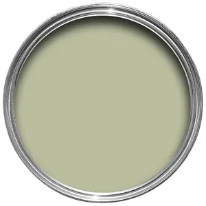 Farrow & Ball Estate Cooking apple green Emulsion paint, 100ml