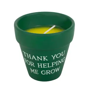 Outdoor Citronella Green Plant Pot Candle H9.5cm