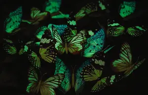 18 x Glow in The Dark Butterfly Stake Decorations - Colourful Indoor Outdoor Decorative Butterflies - Each H25 x W8.5 x D7.5cm