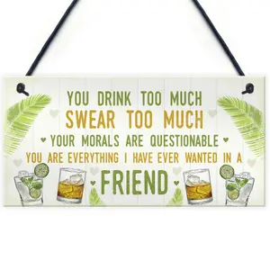 Red Ocean Funny Best Friend Friendship Sign Drink Too Much Gin Vodka Birthday Gift