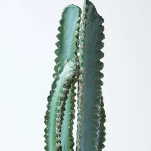 Homescapes Hylcocereus Artificial Cactus In Decorative Textured Stone Pot, 49 cm Tall