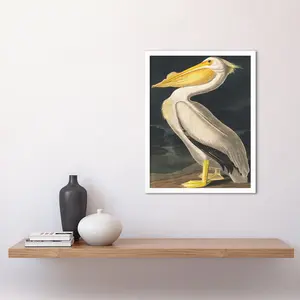 Audubon Style Vintage Detailed Pelican Bird - Print White Framed Paper / 43cm H x 33cm W x 2cm D