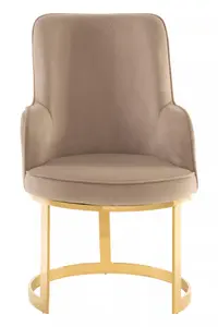 Interiors By Premier Durable Beige Velvet Dining Chair, Versatile Modern Chair For Dinner, Sleek Luxury Chair For Livingroom