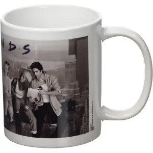 Friends Lunch On A Skyscraper Mug White/Black (One Size)