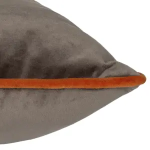 Paoletti Meridian Velvet Feather Rich Cushion