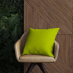 Lime Outdoor Cushion 45cm x 45cm