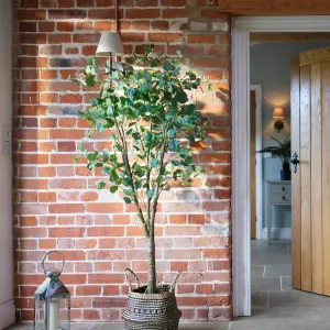 Blooming Artificial - 170cm / 5.5ft Faux Eucalyptus Tree