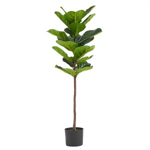 120cm Premium Artificial Fiddle Fig Tree