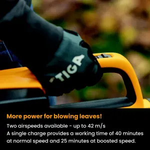 Stiga Cordless 40V BL300e Garden blower