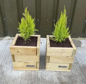 Simply Wood Signature SQUARE Planter - Compact X 2