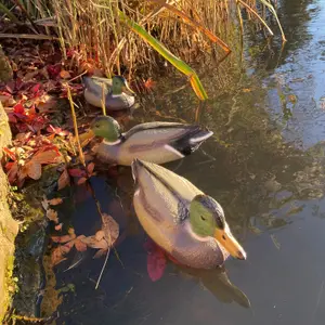 Mallard Duck Hunting Shooting Floating Decoy Pond Decoration Large (Set of 3)