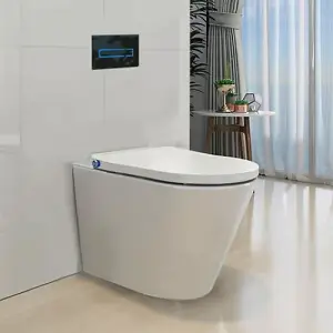 Floor Standing Back to Wall Japanese Style Bidet Toilet