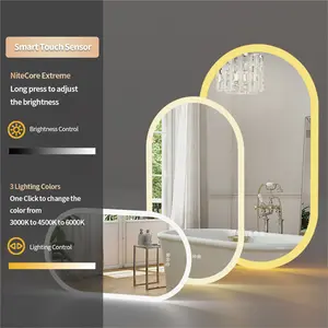 Oval LED Wall Mirror 80cm H x 50cm W