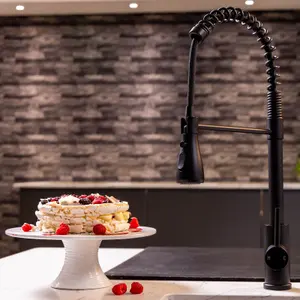 Flode Fjadra Pull Out Kitchen Sink Mixer Tap Spring Style Mixer Tap Matt Black Oval Head