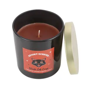 Something Different Black Cat Curse Cinnamon Orange Scented Candle Orange/Black (One Size)