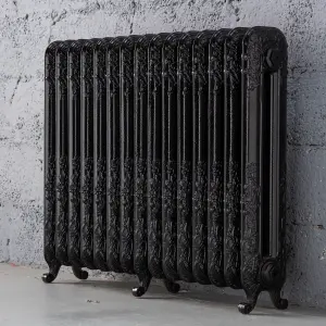 Arroll Daisy Cast iron Black 15 Column Radiator, (W)1009mm x (H)794mm