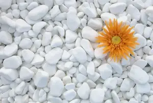 Decorative MARBLE EXTRA WHITE Stones / Pebbles HOME & GARDEN AQUARIUM 1-3cm 25kg