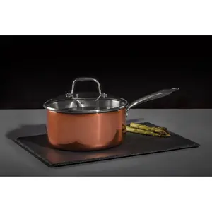 Interiors by Premier Minerva 20cm Saucepan