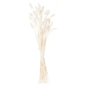 Dried White Bunny Tail Bunch Of 60