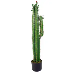 100cm Premium Artificial Cactus with pot