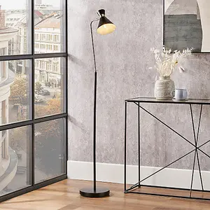 Black Brushed Silver Metal Floor Lamp