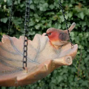 Small Adorable Bird Feeder 'Robin'