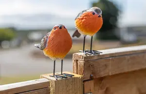 2pc Red Breast Robin Ornaments