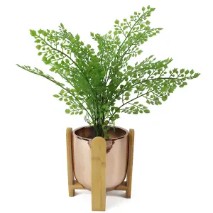 16cm Gold Ceramic Planter with Bamboo Stand