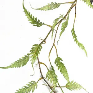 Artificial Hanging Trailing Plant Fern Plant Botanik