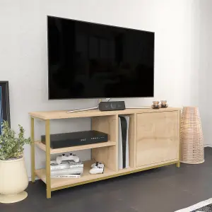 Decorotika Neola TV Stand TV Cabinet TV Unit for TVs up to 55 inches