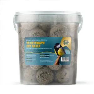 Suet Shop Wild Bird Food Supreme Suet Fat Balls with Peanuts and Black Sunflower Bird Feed 80g Tub of 30