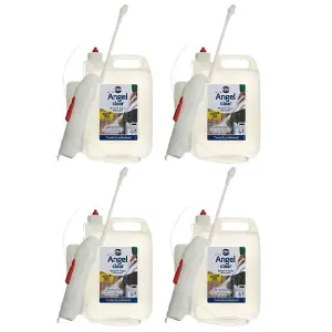 Nilco Angel Clear 20L Mould & Algae Remover Cleaner For Walls Tiles PVC Patios