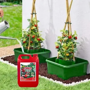 3pc Tomato Plant Pots Plant Supports Outdoor Indoor With Tomato Plant Feed