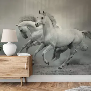 Wild White Horses Mural - 384x260cm - 5519-8