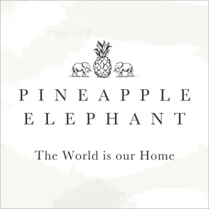 Pineapple Elephant Tamba Jersey Stripe Oxford 50x75cm + border Pack of 2 Pillow cases with envelope closure Chambray Blue