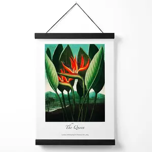 Vintage Floral Exhibition -  The Queen Tropical Flower Medium Poster with Black Hanger