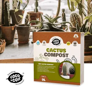 Coco&Coir Cactus & Succulent Compost - 9L Peat Free