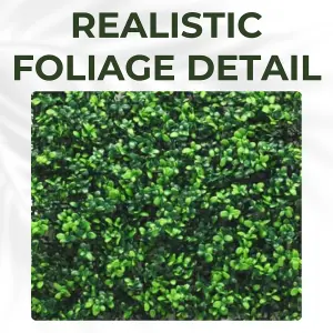 Artificial Plant Flower Living Wall Panels Realistic - Boxwood - Indoor / Outdoor - 1m x 1m - Home, Garden, Office