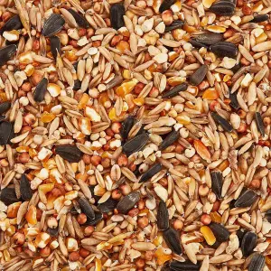 Happy Beaks Wheat Free Bird Food Seed Mix (12.75kg) High Energy No Wheat Premium Feed